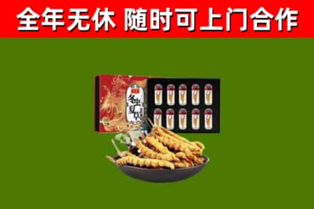 霍州回收冬虫夏草价格